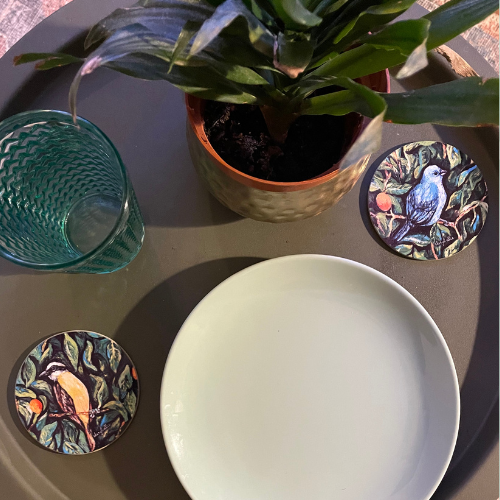 Kiskadee Coasters - Round (Pack of 4)