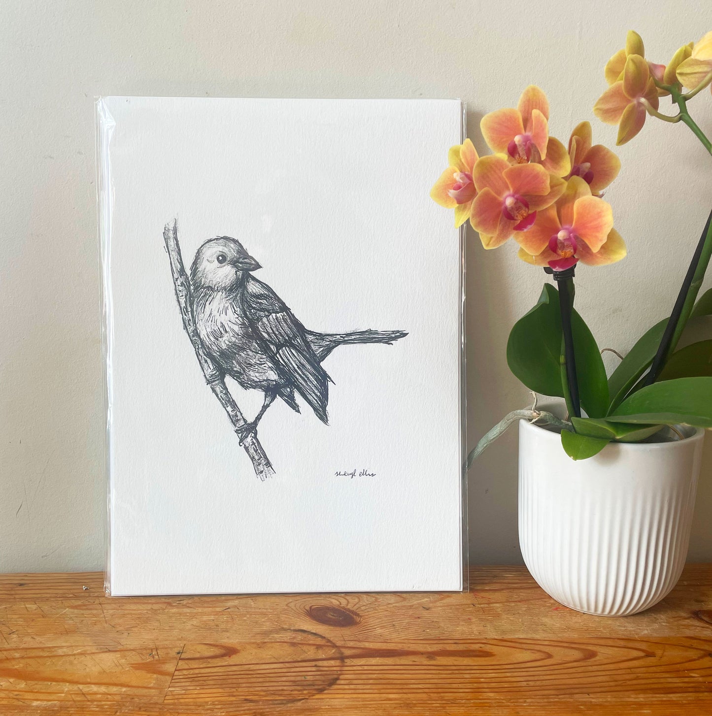 Blue Jean Bird Study - A4 Giclee print