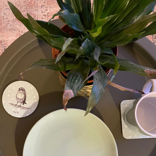 A Chirping Robin Mug and Coaster Set - (1 Mug + 1 Coaster)