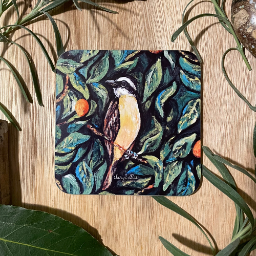 Kiskadee Coasters - Square (Pack of 4)