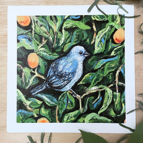 Blue Jean Tanager - Giclee - Fine Art print of the Canvas - 20cm by 20cm