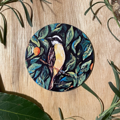 Kiskadee Coasters - Round (Pack of 4)