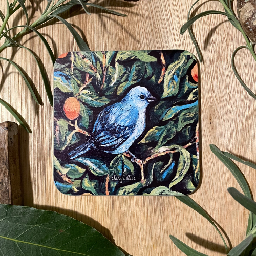 Blue Jean Tanager Coasters - Square (Pack of 4)